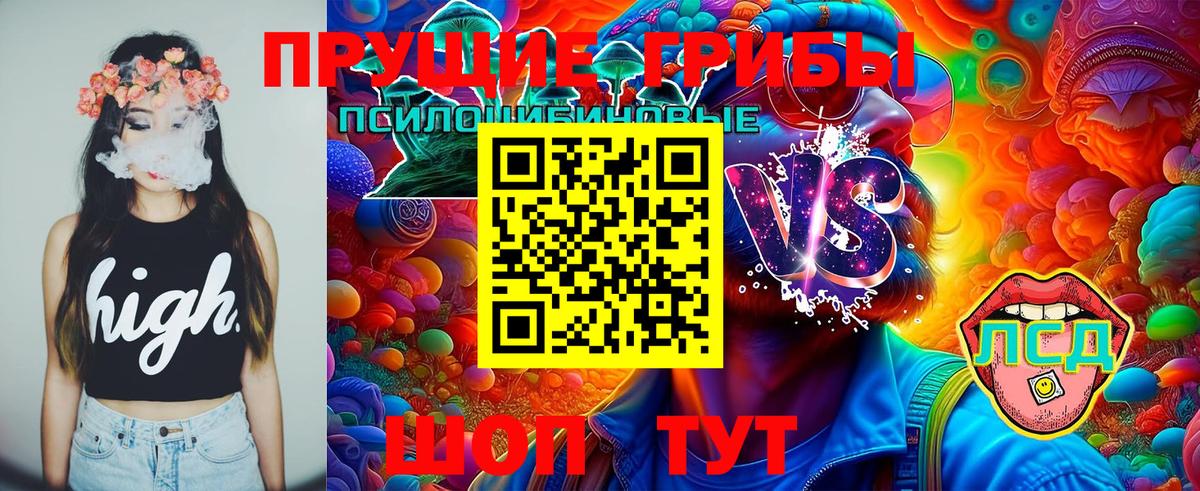 Углич  Псилоцибиновые грибы прущие грибы  Вход с VPN 