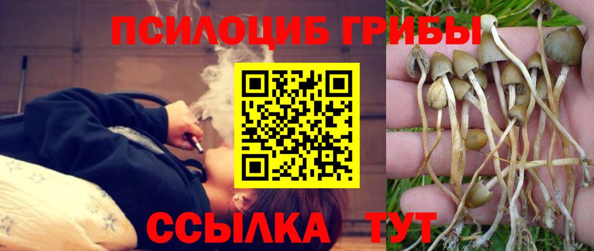 Галлюциногенные грибы ЛСД Углич